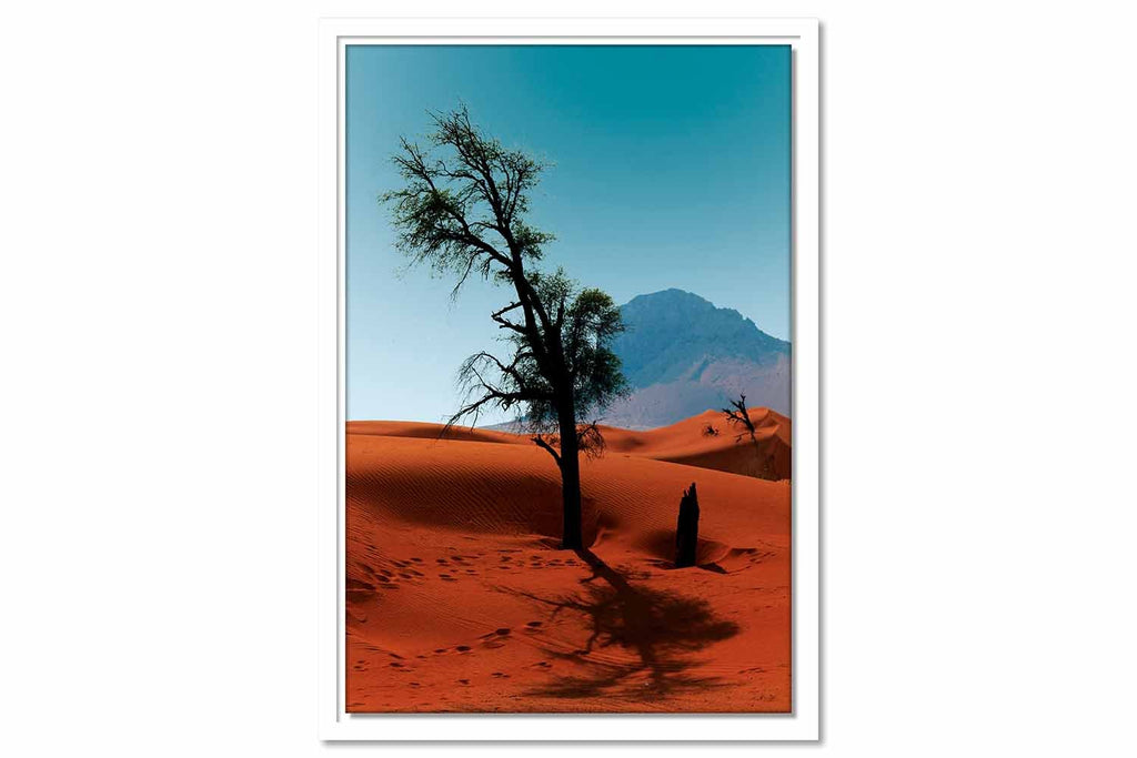 Framed Canvas Lonely Tree (Sharjah)