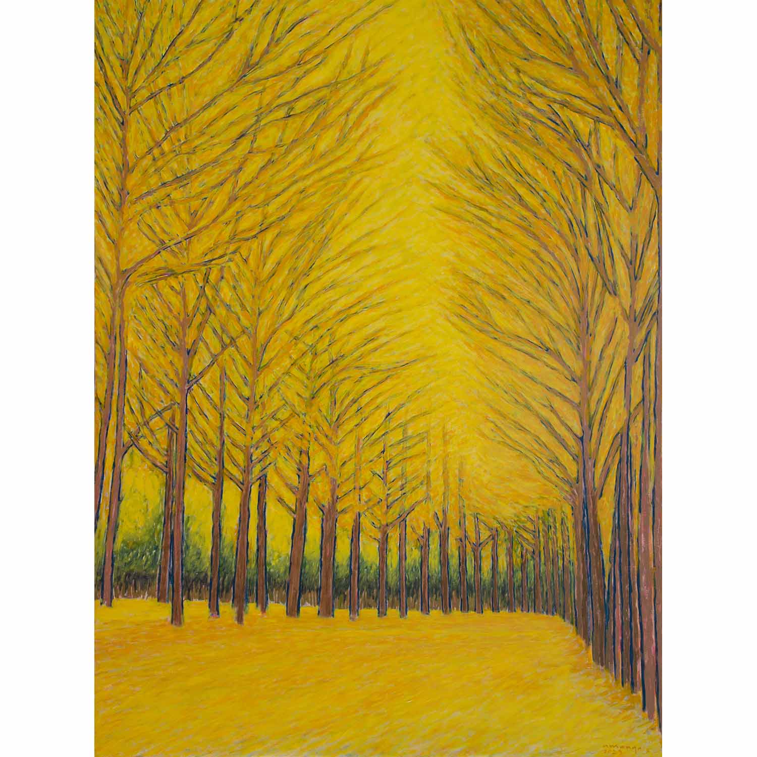Suranga Tree Ginkgo Trees – Monda Gallery