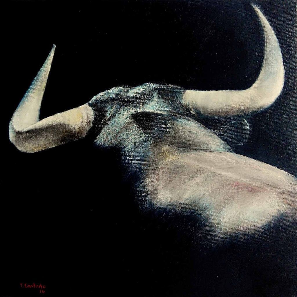 Brave Bull Seen from Above