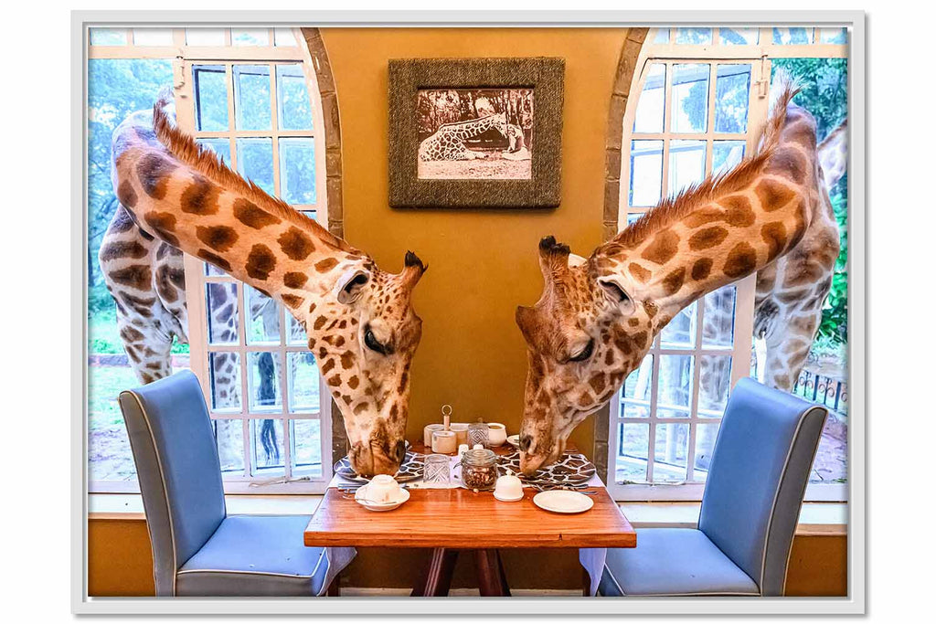 Framed Canvas Giraffe Manor