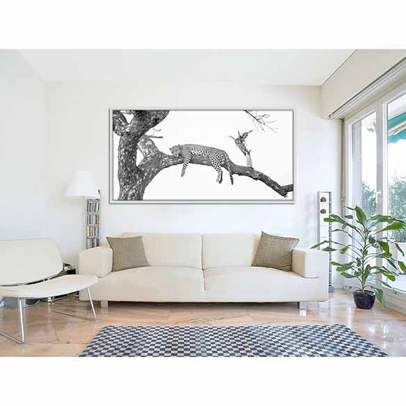 South Africa Leopard on living room wall