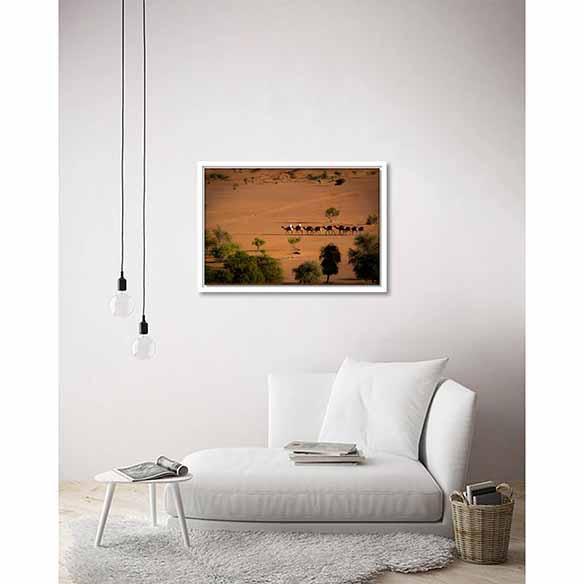 Camels in the Desert on living room wall
