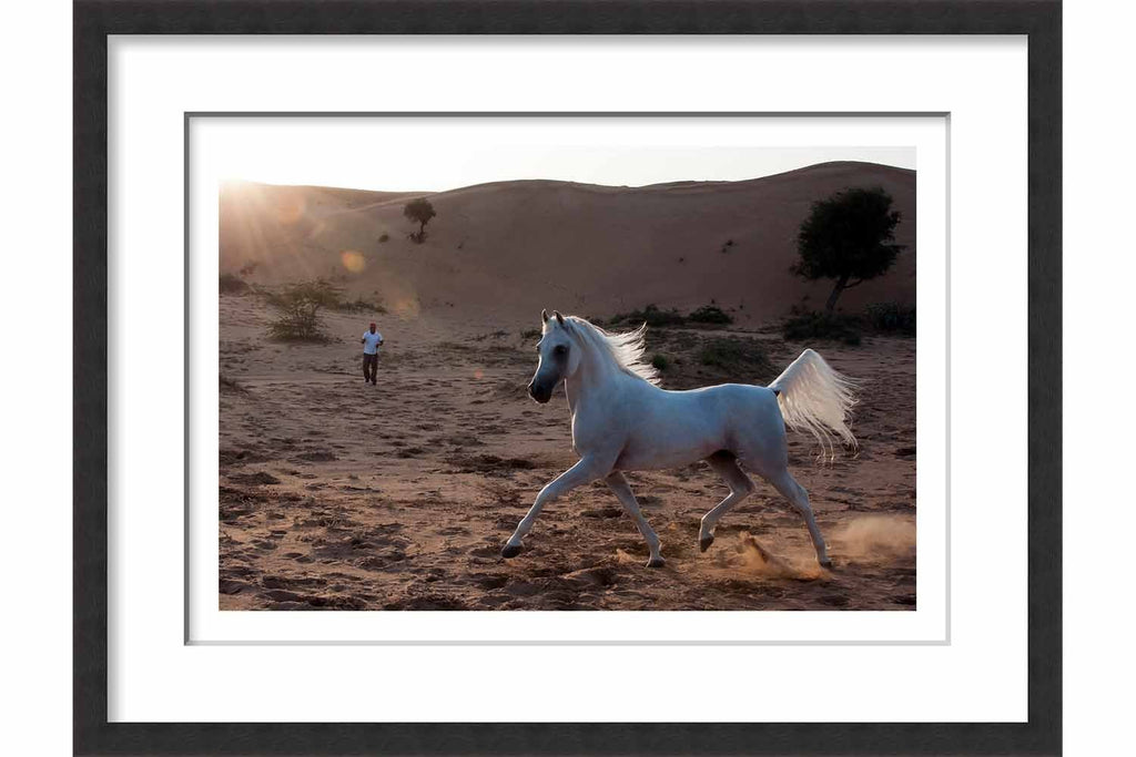 Framed Paper Proud Arabian Horse