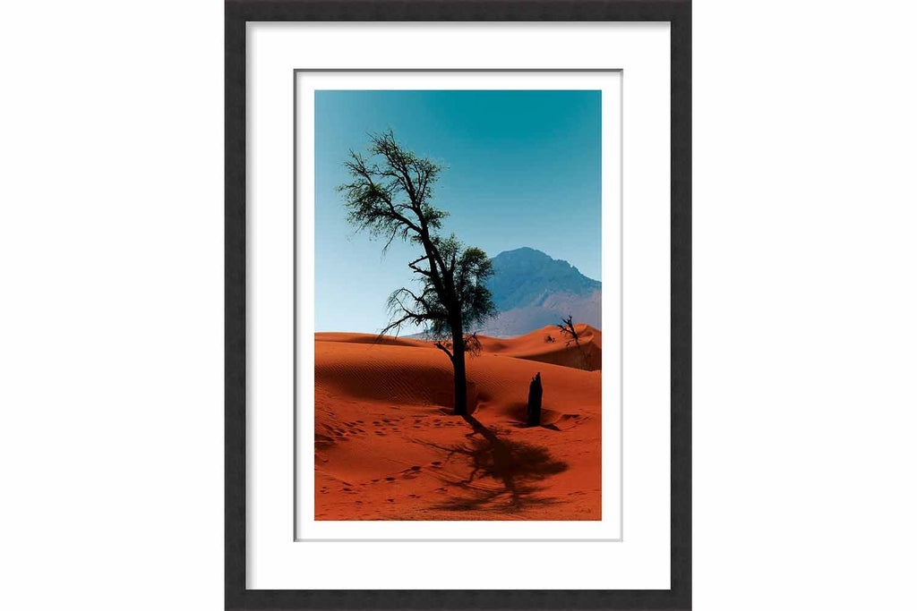 Framed Paper Lonely Tree (Sharjah)