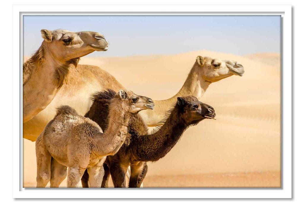 Framed Canvas Family