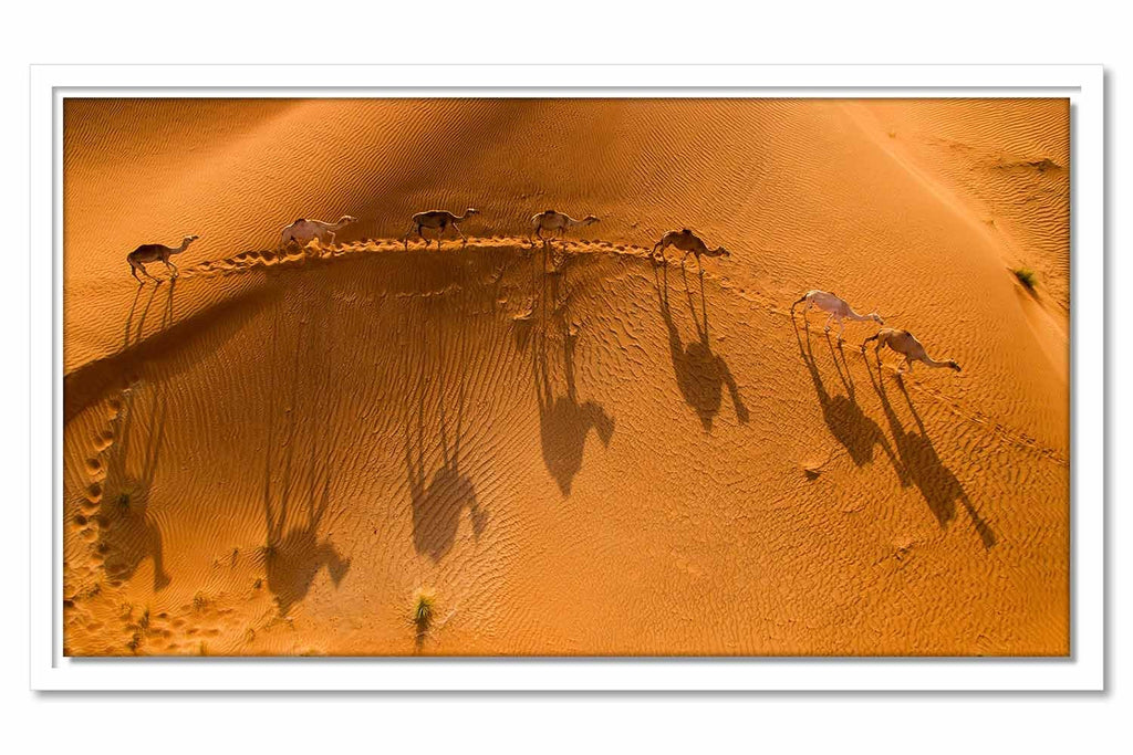 Framed Canvas Desert Crossing