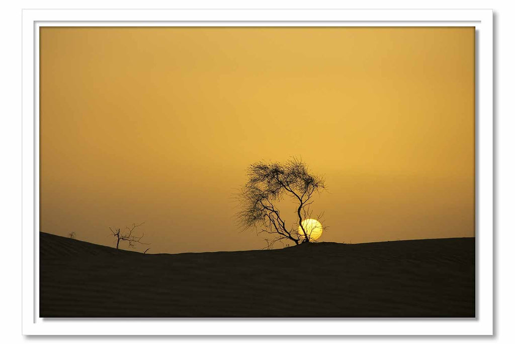 Framed Canvas Arid Sunset